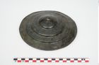 Foto von Bronzephalere (NHMW-PRAE-024553)